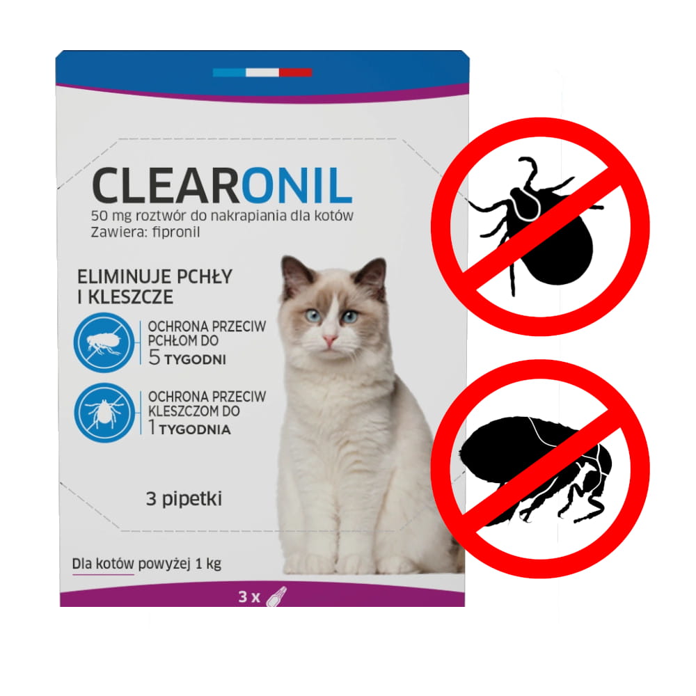 clearonil kot 3.jpg